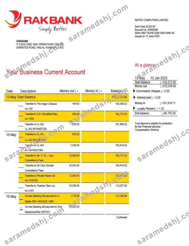 Rakbank enterprise account statement Word and PDF template